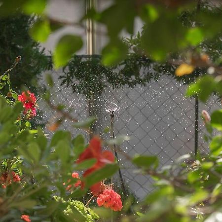 Mulberry Tree Villa アイオス・ニコラオス エクステリア 写真