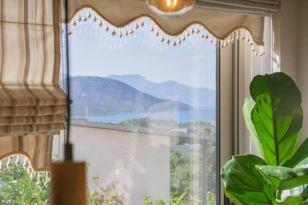 Mulberry Tree Villa アイオス・ニコラオス エクステリア 写真