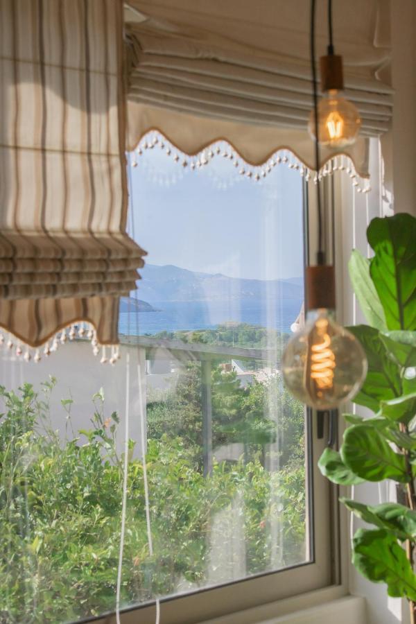 Mulberry Tree Villa アイオス・ニコラオス エクステリア 写真
