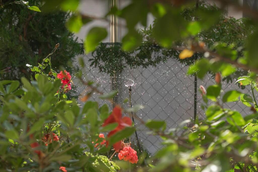 Mulberry Tree Villa アイオス・ニコラオス エクステリア 写真